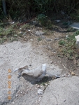 La sacca visibile sul terreno in via Principe ieri 1 settembre